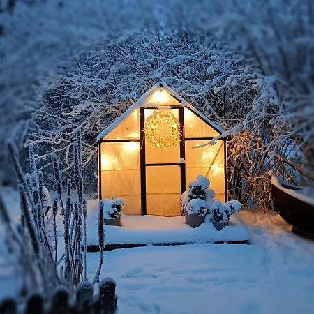 Red Wooden House In * Rovaniemi