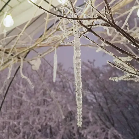 別荘 Red Wooden House In