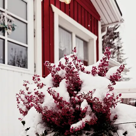 Red Wooden House In Rovaniemi