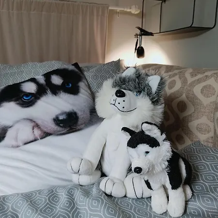 Red Wooden House In Nyaraló *