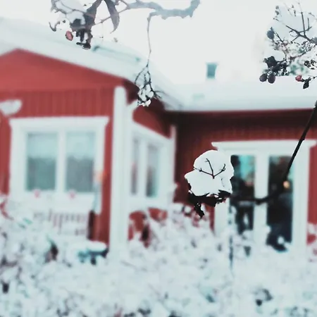 Red Wooden House In 別荘 *