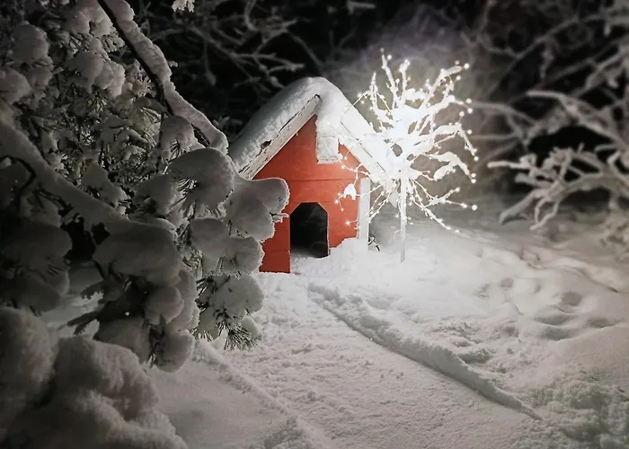 Red Wooden House In *