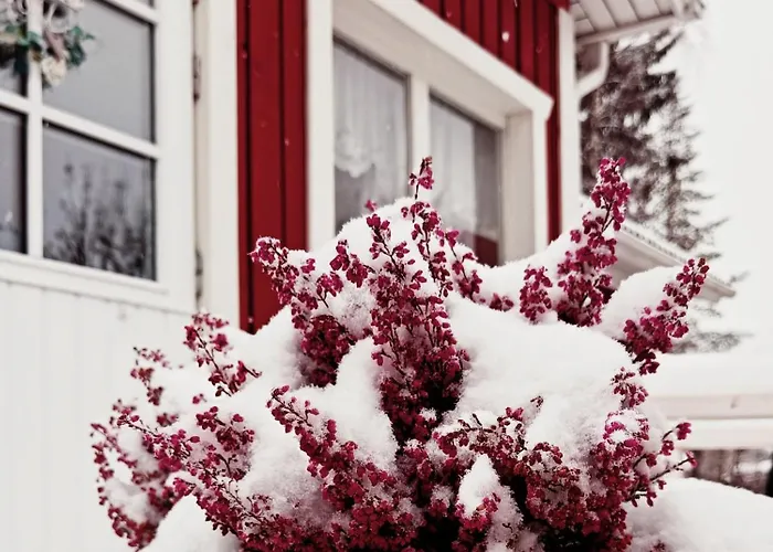 Red Wooden House In Rovaniemi